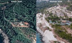 The forest was destroyed for TUI's ecological hotel project