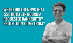 Did 238 hotels in Bodrum apply for bankruptcy protection?