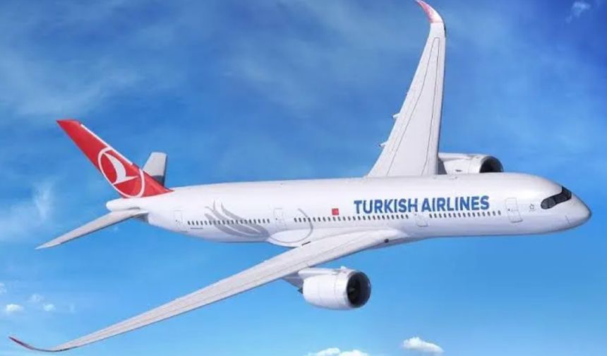 Union blames Turkish Airlines of cruelty and ill-treatment